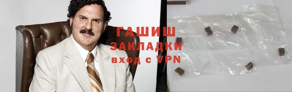 спиды Богородицк