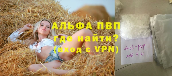 спиды Богородицк