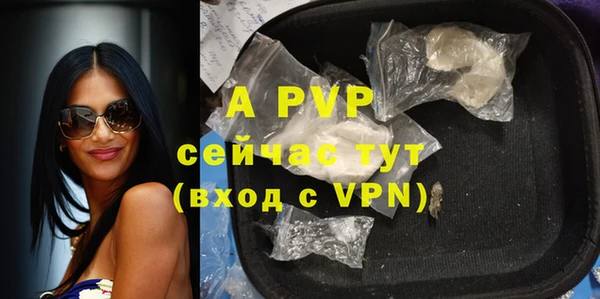 спиды Богородицк