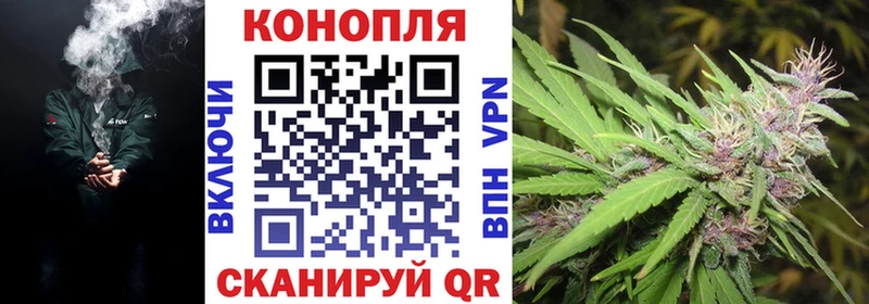 цены   Болхов  mega ТОР  Бошки Шишки гибрид 
